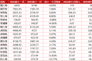 2024年前十一月中国上市险企保费收入分析：人身险增速放缓，财险持续增长