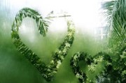 五一消费狂欢落幕：以旧换新暗藏猫腻，别被电商套路了！